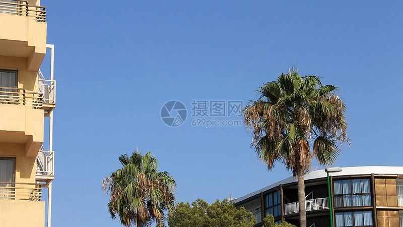 民宿管理系统的价格构成揭秘
